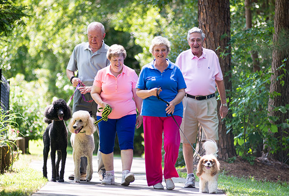 Walking Trail