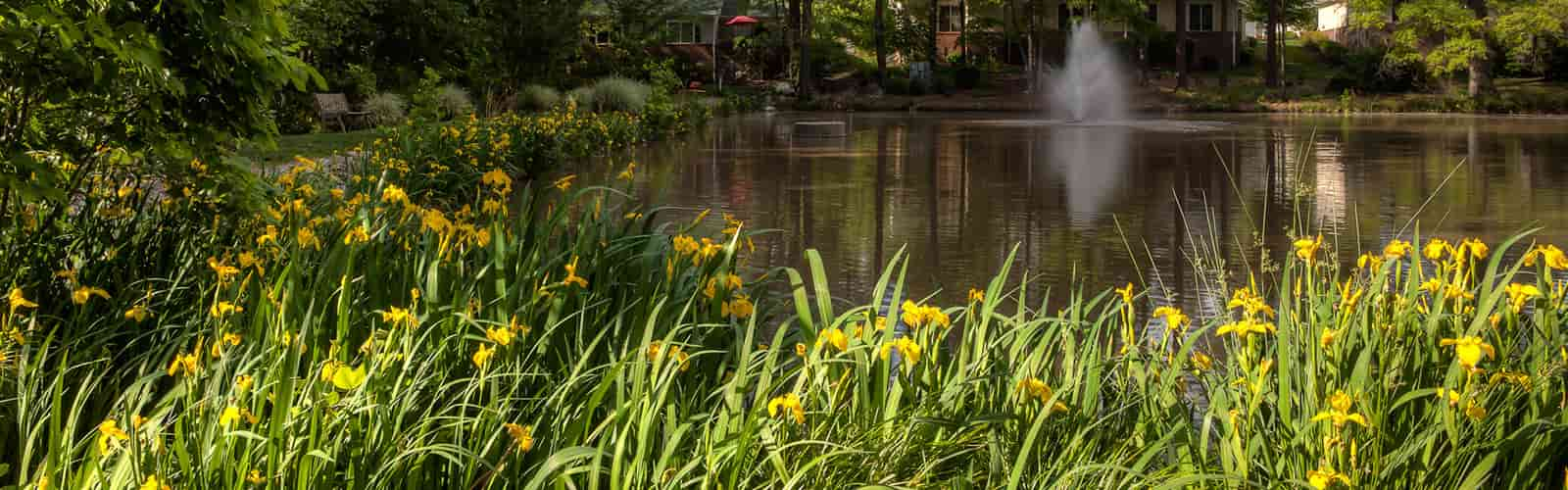 glenaire pond image