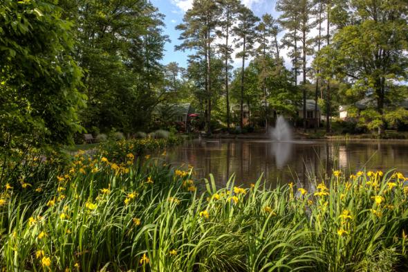 glenaire cottage pond