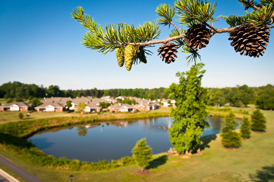 Fishing Pond